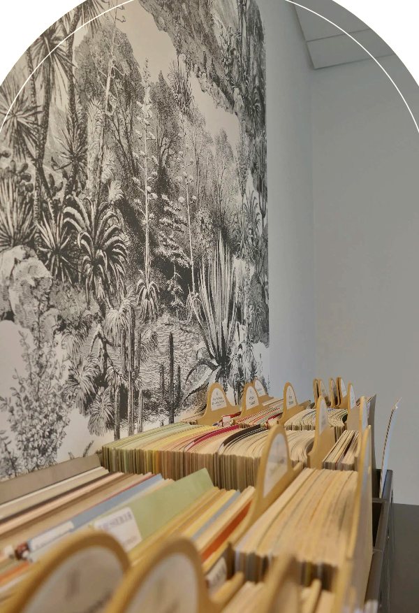 Papier peint panoramique noir et blanc à motif de jungle, au-dessus des tiroirs de nuanciers du showroom
